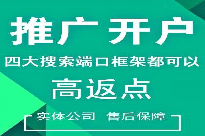 揭秘SEM竞价托管，案例展示效果